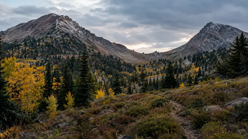 Golden aspen trees scattered among pines on a high ridge in early October.